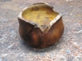 Burled Osage Orange Bowl (incomplete)